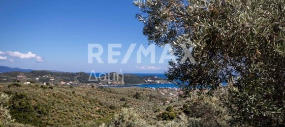 Terra em Skiathos, Greece 13922 m² N.º 737 13