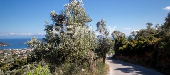 Terra em Skiathos, Greece 13922 m² N.º 737 16