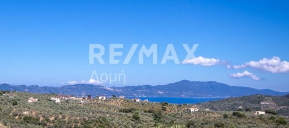 Terra em Skiathos, Greece 13922 m² N.º 737 4