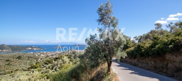 Terra em Skiathos, Greece 13922 m² N.º 737 22