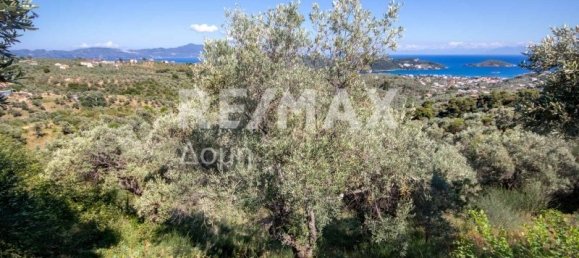 Terra em Skiathos, Greece 13922 m² N.º 737 21