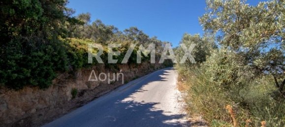 Terra em Skiathos, Greece 13922 m² N.º 737 2