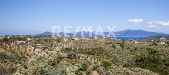 Terra em Skiathos, Greece 13922 m² N.º 737 14