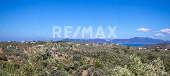 Terra em Skiathos, Greece 13922 m² N.º 737 5