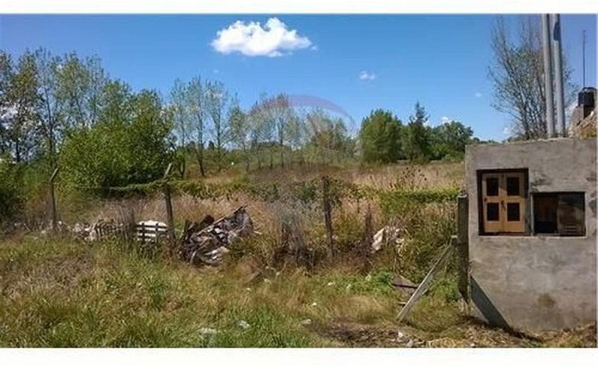 Terrain à General Rodriguez, Argentina No. 32143