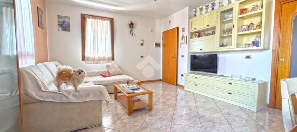 4 rooms Penthouse in Curtarolo, Italy No. 263458 3