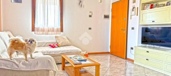 4 rooms Penthouse in Curtarolo, Italy No. 263458 4