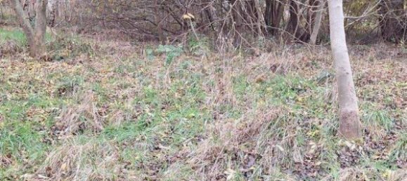 Terreno en Luneburg, Germany No. 357592 3