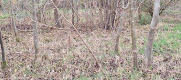 Terreno en Luneburg, Germany No. 357592 2