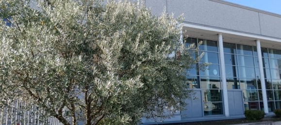 Büro in Lissone, Italy 2600m², Nr. 350638 9