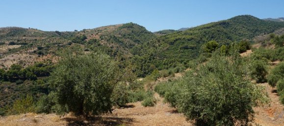 3 bedrooms House in Yunquera, Spain No. 53246 30