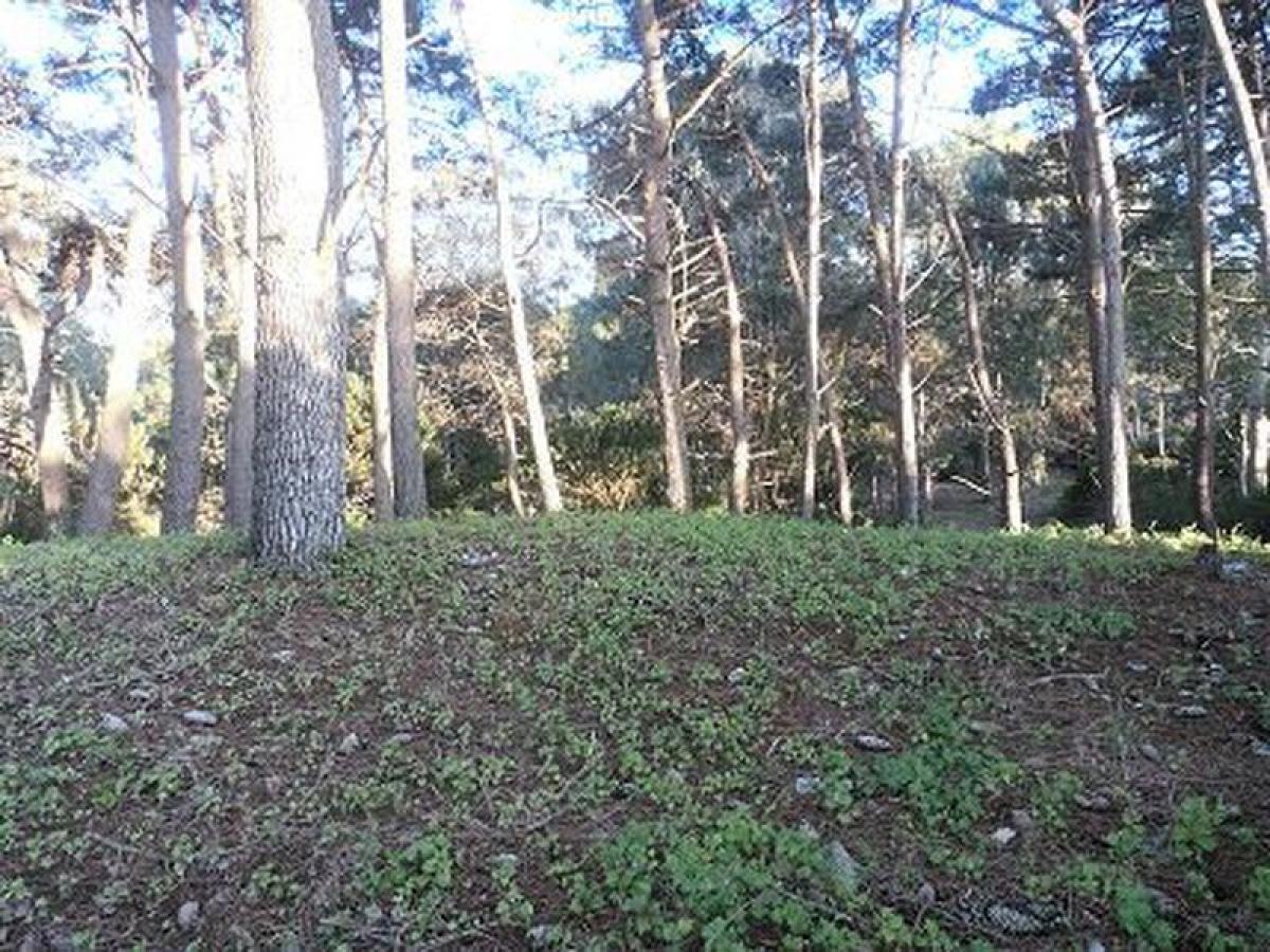 Terreno em Mar del Plata, Argentina N.º 113168