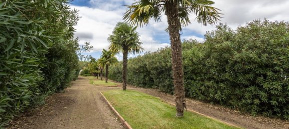 9 bedrooms Castles in Palmela, Portugal No. 49534 17