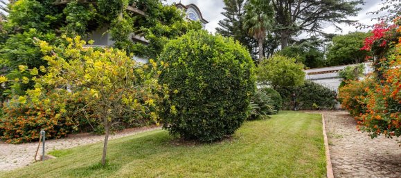 9 bedrooms Castles in Palmela, Portugal No. 49534 30