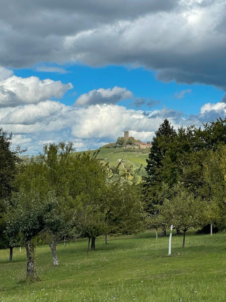  Land in Karlsruhe, Germany No. 292304