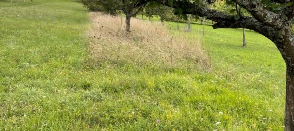 Land in Karlsruhe, Germany No. 292304 6