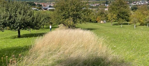 Land in Karlsruhe, Germany No. 292304 3