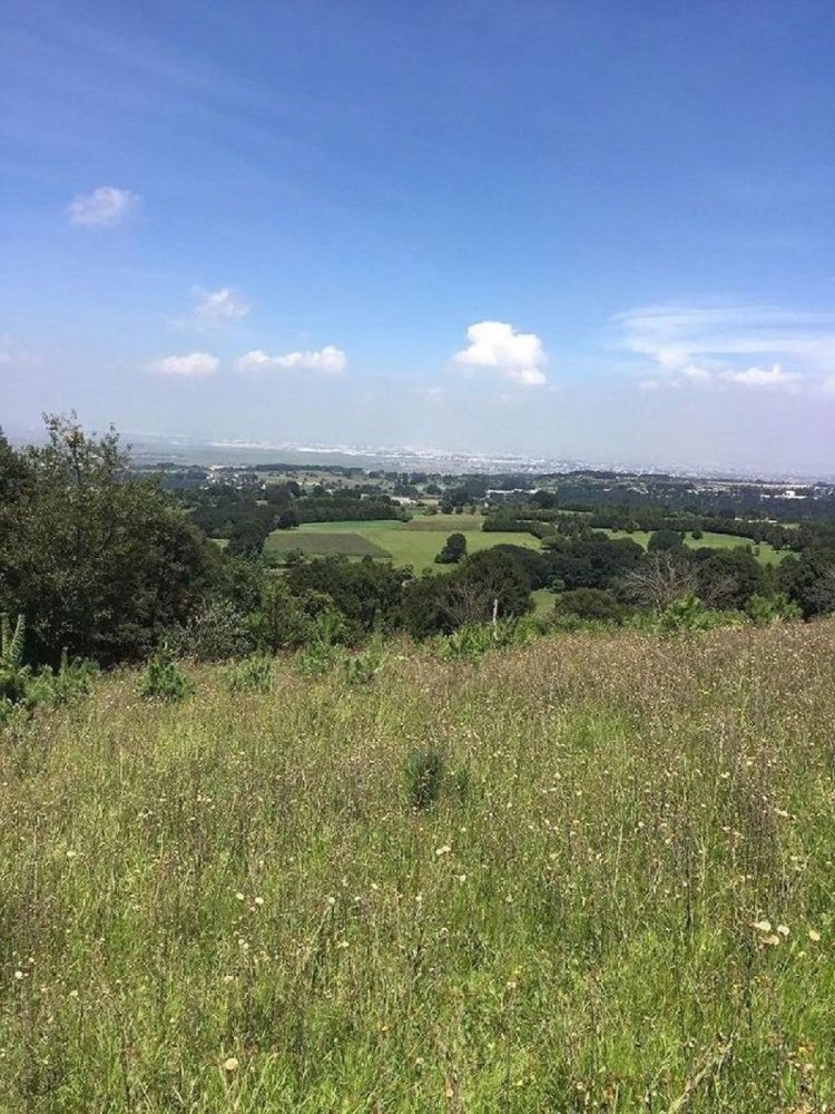  قطعة أرض في Lerma, Mexico رقم 204902