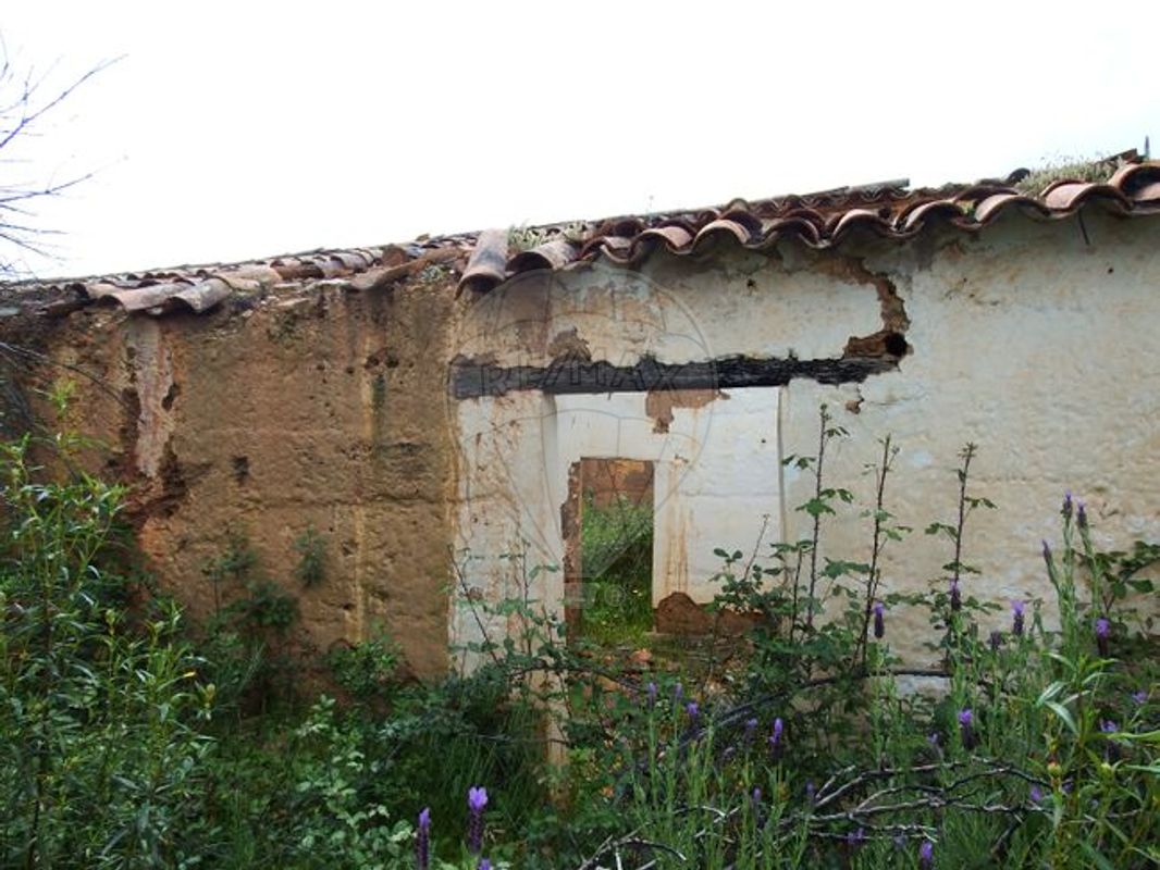 6 bedrooms House in Silves, Portugal No. 32913