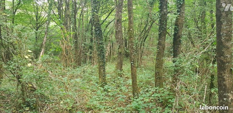 34800m² Land in Maray, France No. 302876