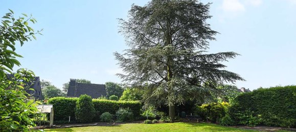 5 غرف نوم منزل في Wesel, Germany رقم 122902 33