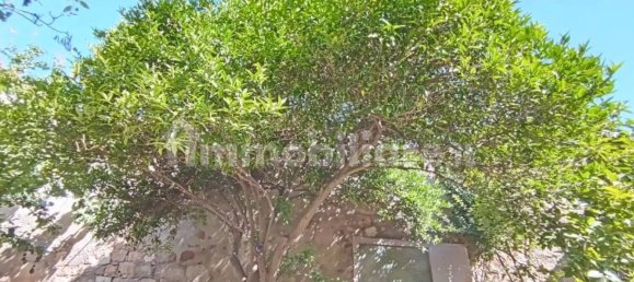 6 غرف نوم فيلا في Sardinia, Italy رقم 338353 40