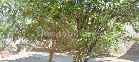 6 غرف نوم فيلا في Sardinia, Italy رقم 338353 39