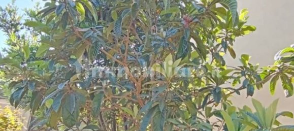 6 غرف نوم فيلا في Sardinia, Italy رقم 338353 42