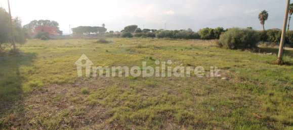 Grundstück in Syracuse, Italy 10000m², Nr. 246903 6