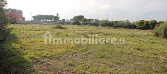 Grundstück in Syracuse, Italy 10000m², Nr. 246903 14