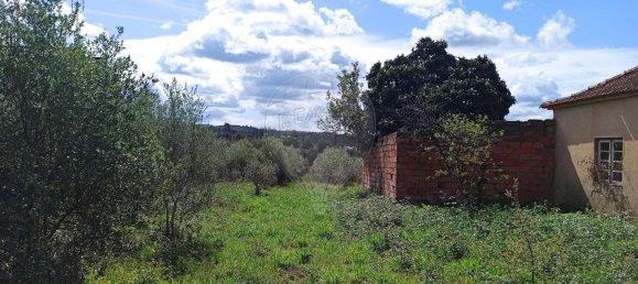 Casa de 2 dormitorios en Avelas de Cima, Portugal No. 47417 5