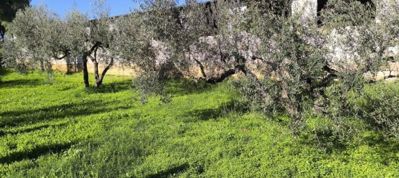 3 bedrooms House in Hinojos, Spain No. 157541 37