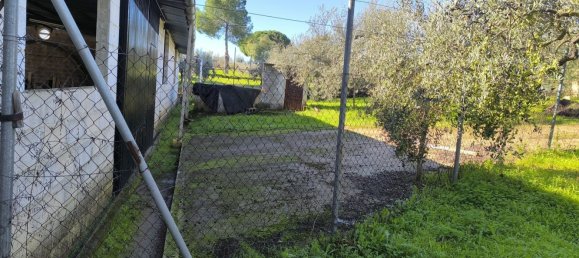 3 bedrooms House in Hinojos, Spain No. 157541 8