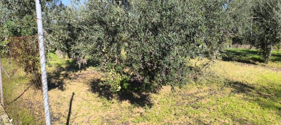 3 bedrooms House in Hinojos, Spain No. 157541 15