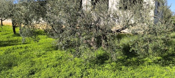 3 bedrooms House in Hinojos, Spain No. 157541 42