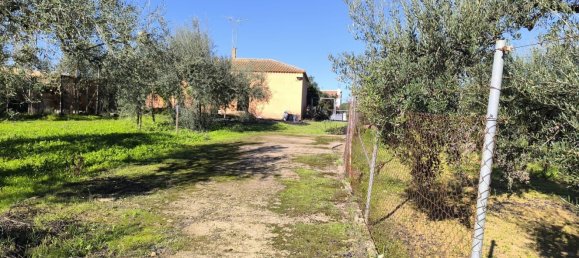 3 bedrooms House in Hinojos, Spain No. 157541 34