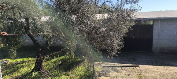 3 bedrooms House in Hinojos, Spain No. 157541 24