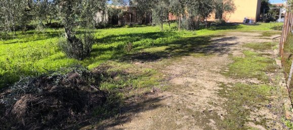 3 bedrooms House in Hinojos, Spain No. 157541 39