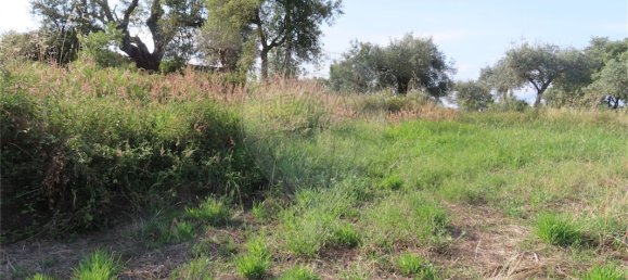 9 bedrooms House in Fundao, Portugal No. 74632 17