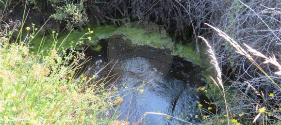 9 bedrooms House in Fundao, Portugal No. 74632 15