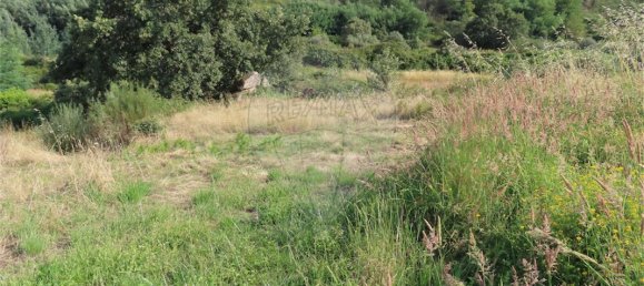 9 bedrooms House in Fundao, Portugal No. 74632 16