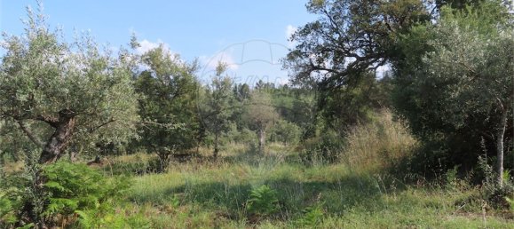 9 bedrooms House in Fundao, Portugal No. 74632 12