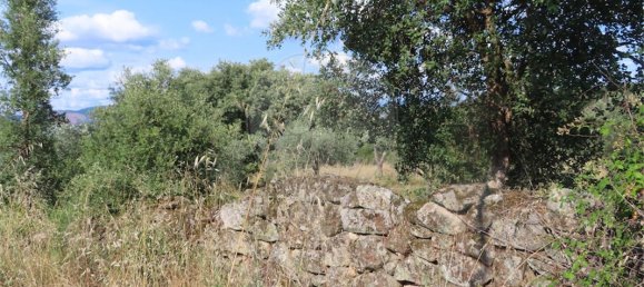 9 bedrooms House in Fundao, Portugal No. 74632 6