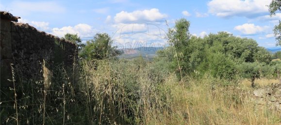 9 bedrooms House in Fundao, Portugal No. 74632 5