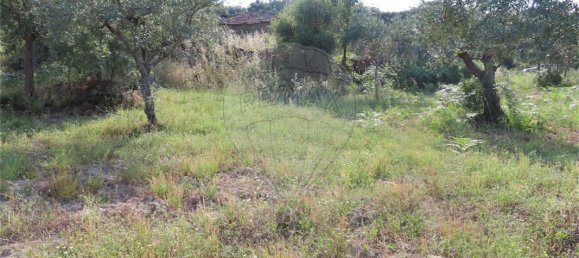 9 bedrooms House in Fundao, Portugal No. 74632 13