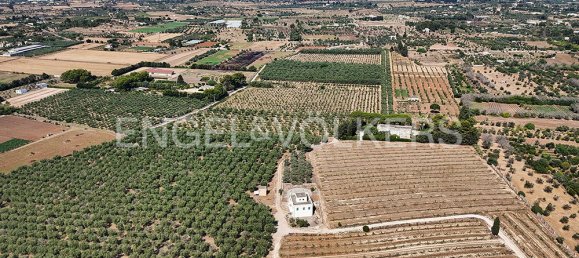 2 bedrooms House in Alezio, Italy No. 281463 4