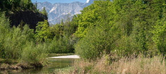  Land in Adnet, Austria No. 128433 2