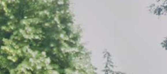 5 غرف نوم شقة في Santa Maria di Sala, Italy رقم 327180 11