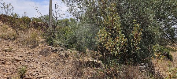 1 غرف نوم قطعة أرض في Sao Bras de Alportel, Portugal رقم 42640 7