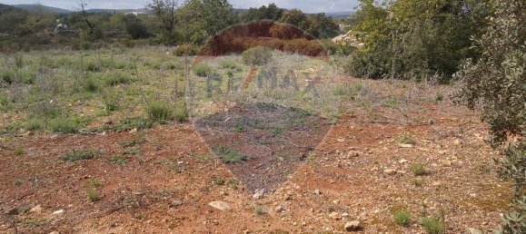7360m² Land in Olhao, Portugal No. 43845 6